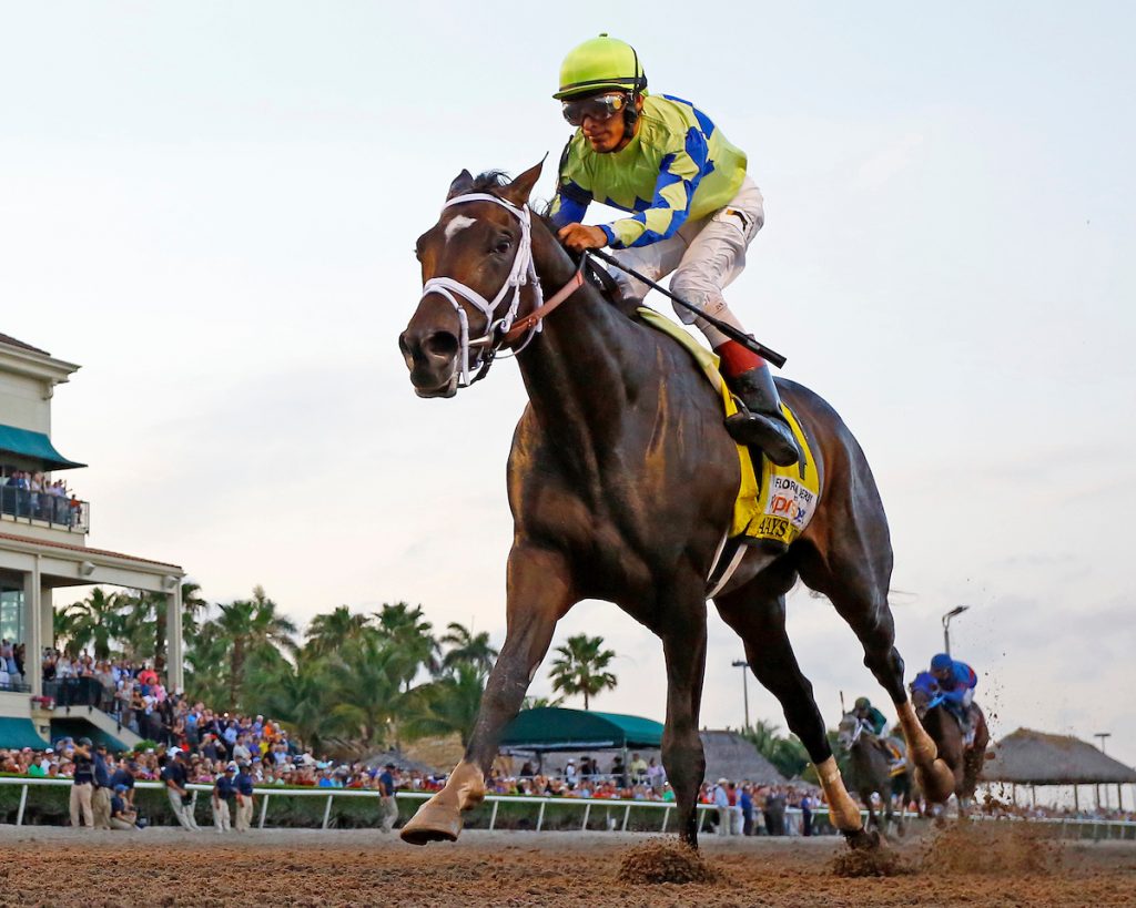 Florida Derby Reveals Exciting New KY Derby Contender Super Screener