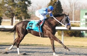 Black Onyx Captures the 2013 Spiral Stakes
