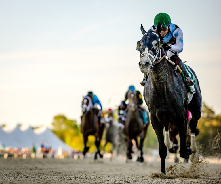 Hot Derby Contender Emerges from Tampa Bay Derby Super Screener
